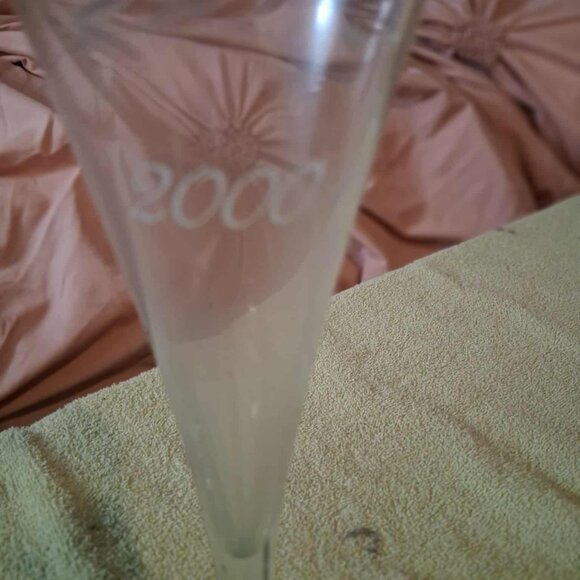 BRAND NEW Princess House Exclusive 2 Pc. Millenial Crystal Toasting Flutes - Picture 4 of 5